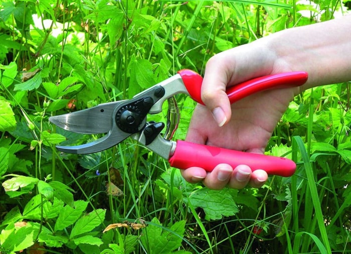 10 outils ergonomiques qui rendent le jardinage presque indolore