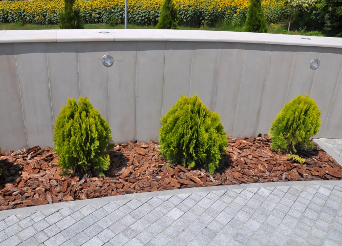 Jardinière en briques avec des arbustes verts, entourée d'un chemin en briques grises.