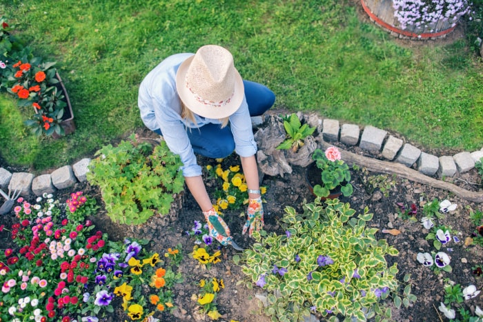 vue aérienne d'une femme plantant des fleurs dans un jardin