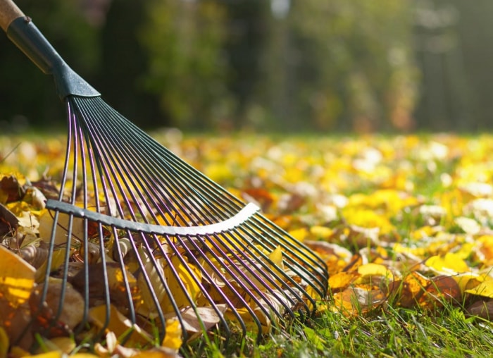 10 façons dont votre jardin peut lutter contre le changement climatique