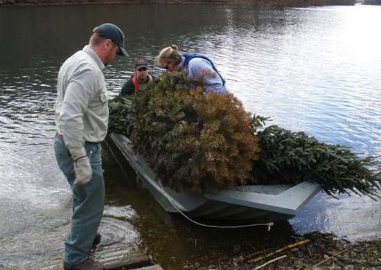 Des hommes chargent un arbre sur un bateau