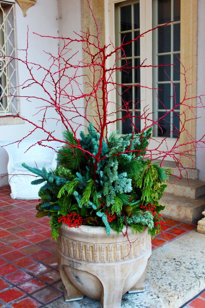 iStock-946589768 idées de décoration d'hiver plante d'hiver extérieure en pot