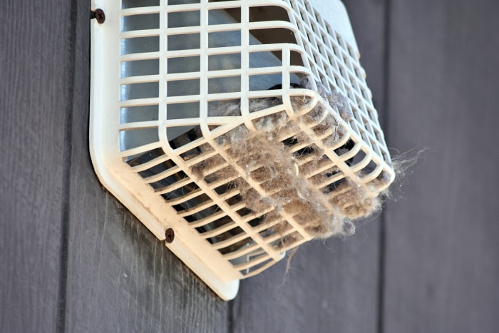 Des oiseaux dans la ventilation de votre sécheuse