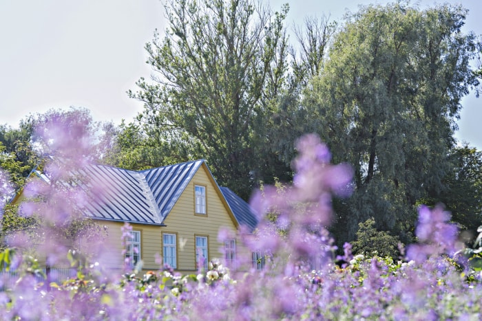 maison-avec-un-revêtement-brun-et-adossée-à-des-arbres-est-entourée-de-fleurs-sauvages-violettes