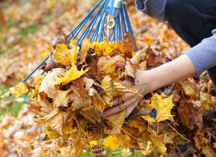 10 conseils d'aménagement paysager indispensables pour aider vos plantes à survivre à l'hiver