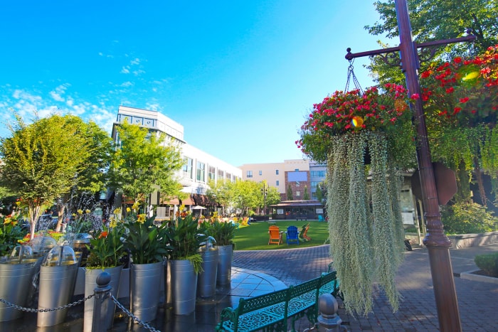 états avec la taxe foncière la plus élevée overland park kansas place de la ville avec plantes suspendues arbres fleurs