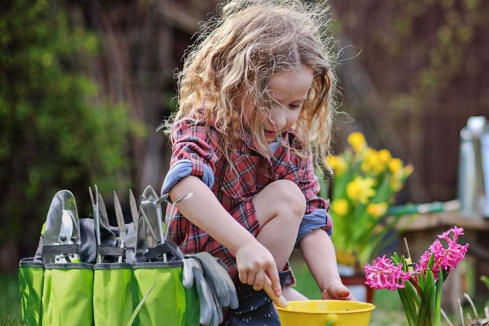 Sac à outils de jardin Workpro