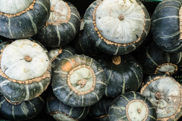 types de courges