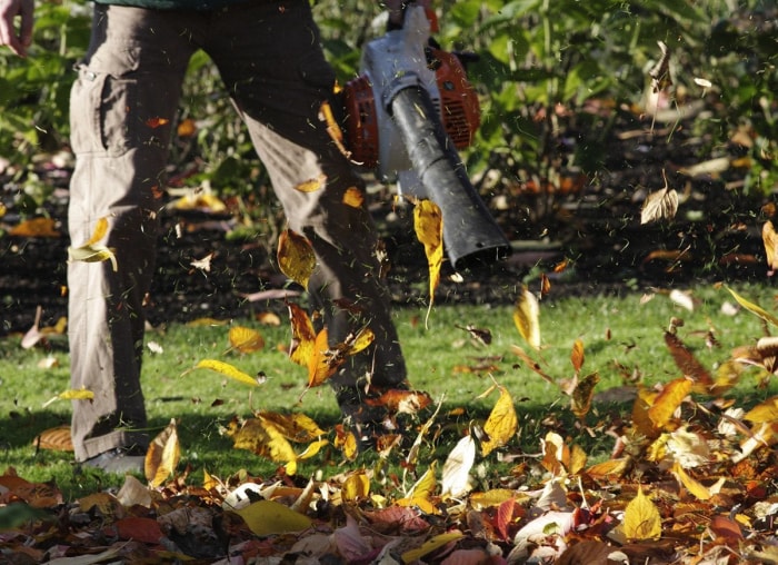 Les choses à faire et à ne pas faire pour nettoyer les feuilles