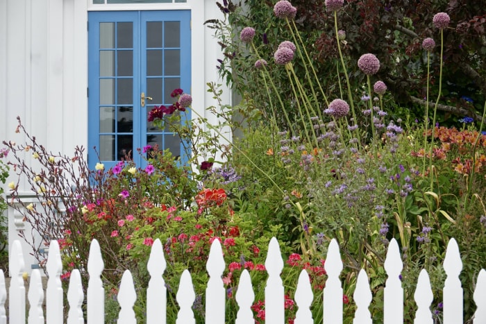 Des fleurs sauvages se dressent derrière une clôture de piquets blancs devant une porte de chalet blanche et bleue.