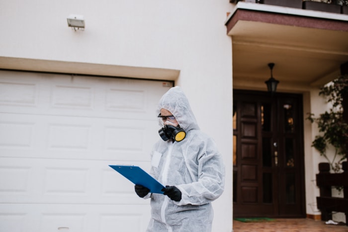 comment choisir une entreprise de lutte contre les termites