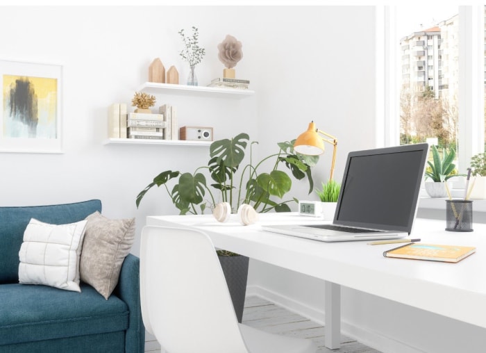 Les 12 plantes d'intérieur les plus tendance pour votre bureau à domicile, selon les masses