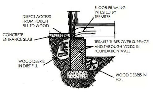 schéma des points d'entrée courants des termites.