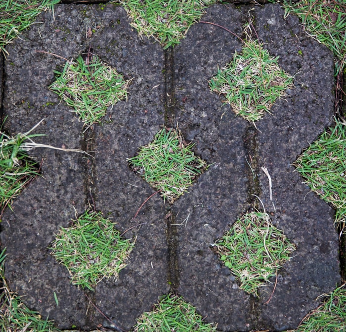 pavés d'allée perméables noirs avec de l'herbe qui pousse à travers