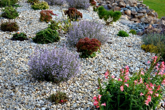 jardinage sur place