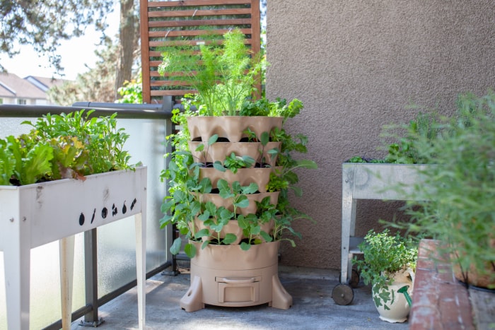 Un conteneur de jardin vertical s'installe au coin d'une terrasse avec d'autres plantes.