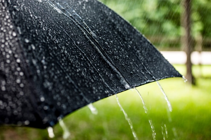 Parapluie noir sous la pluie