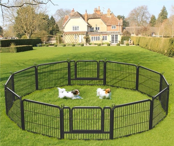 Un parc circulaire pour chiens avec deux petits chiens jouant à l'intérieur.