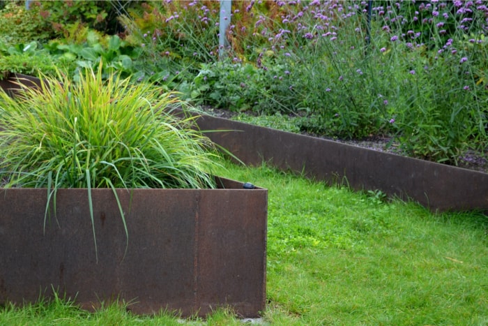 Une cour fraîche et verte avec une jardinière en métal rouillé. 