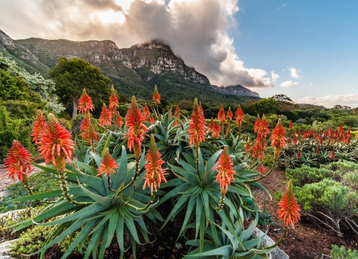 9 jardins célèbres pour inspirer votre prochain projet