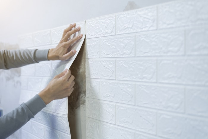 iStock-1396955693 Remboursement d'impôt Améliorations domiciliaires Les mains des ouvriers collent du papier peint sur le mur