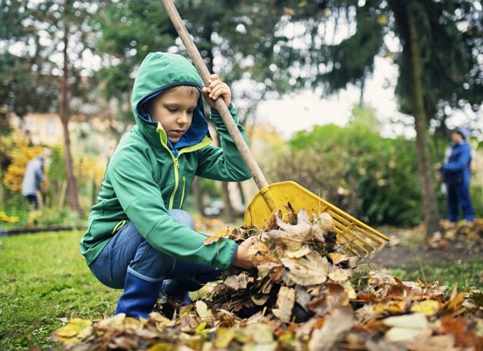 Les choses à faire et à ne pas faire pour nettoyer les feuilles