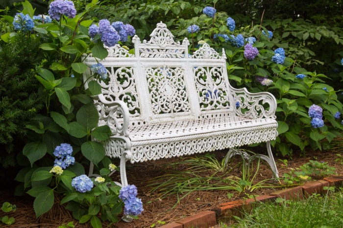 Un banc en ferronnerie victorienne blanche entouré d'hortensias bleus et violets