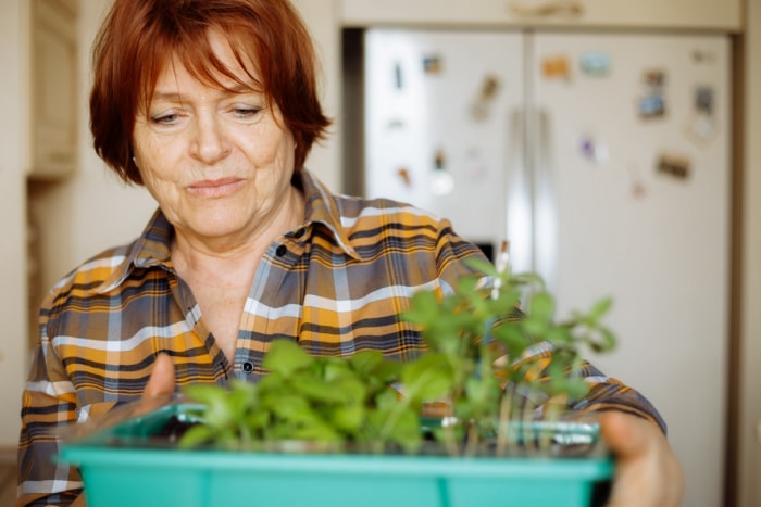 Une femme vérifie les pousses des plantes dans un plateau près du réfrigérateur.