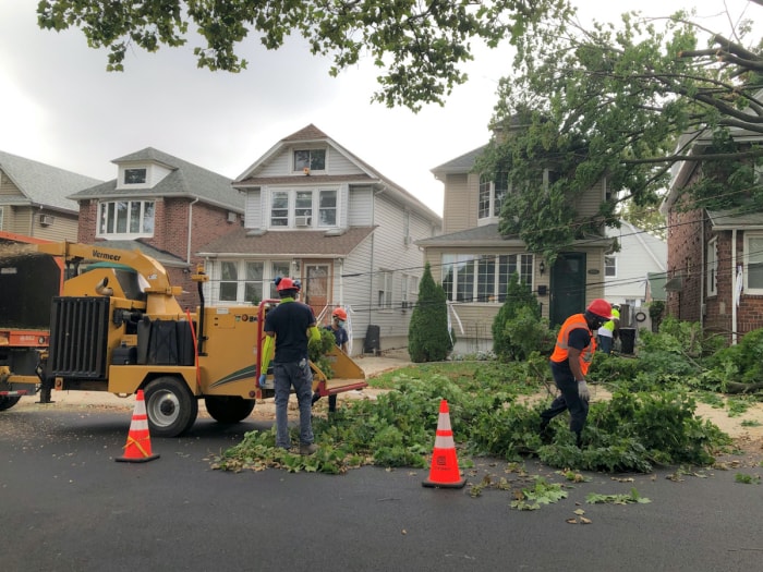 un arbre tombe sur une maison