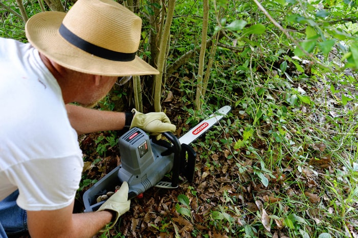 Un homme avec un chapeau utilise une tronçonneuse sur des arbres minces