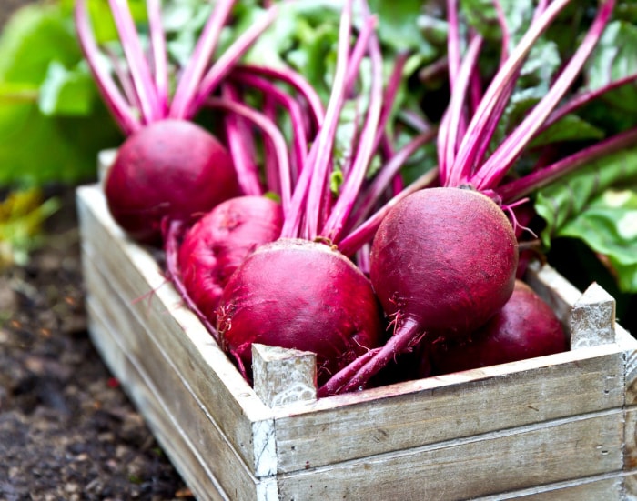 10 plantes qui poussent mieux avec des compagnons