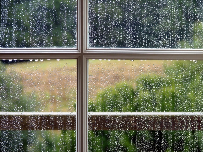 Des gouttes de pluie roulent sur la fenêtre