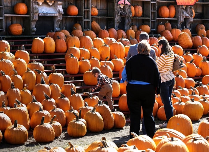 Les 22 expositions de citrouilles les plus cool du pays