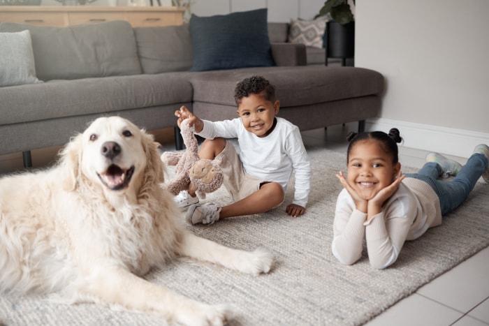 iStock-1402915209 faire sortir le funk des frères et sœurs jouant avec le chien sur la moquette.jpg