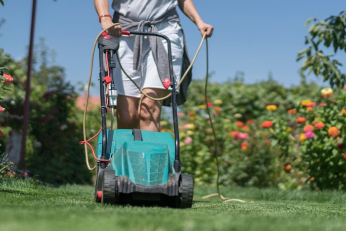 femme tondant la pelouse dans le jardin avec une tondeuse à gazon électrique