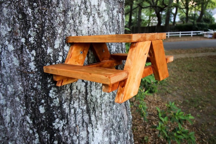 table de pique-nique pour écureuils attachée à un tronc d'arbre