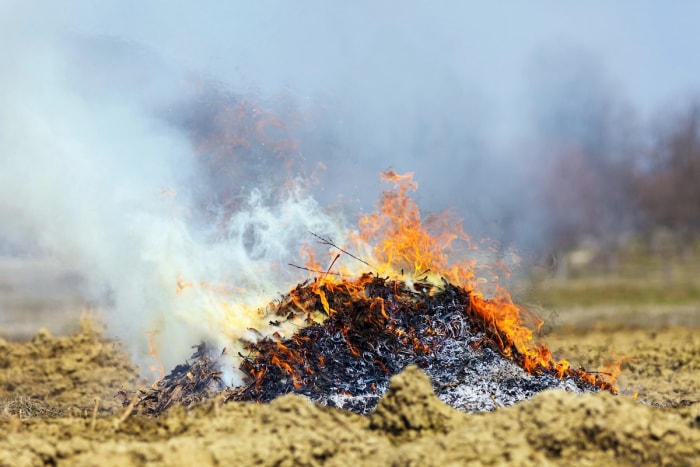 Un tas de feuilles et de déchets de jardin en feu avec dégagement de fumée.