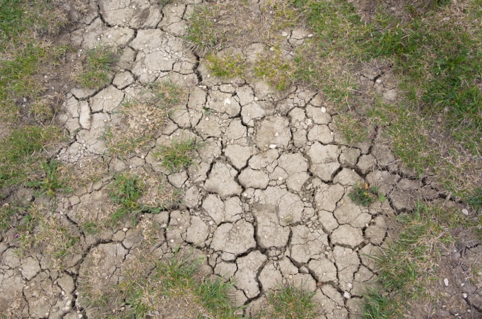 restrictions d'eau sécheresse aménagement paysager