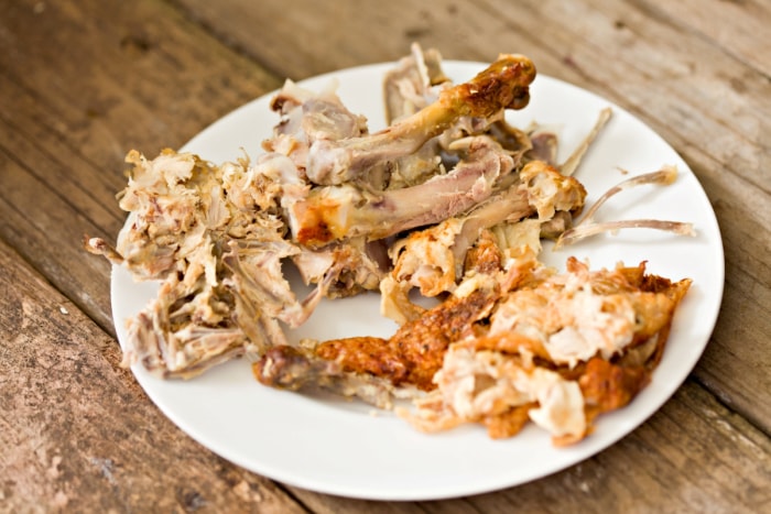 Assiette d'os de poulet mangés.