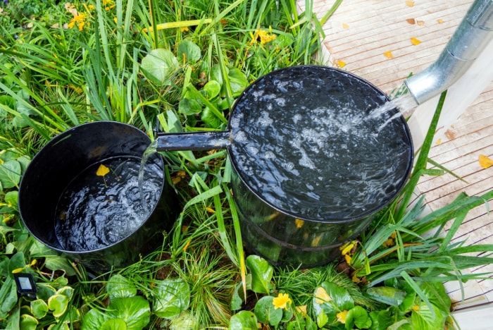 Récupération des eaux de pluie