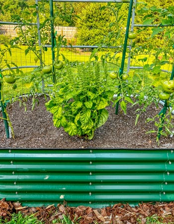 Le système de jardin surélevé Vego Garden en pleine production pour la culture de nombreuses plantes de jardin