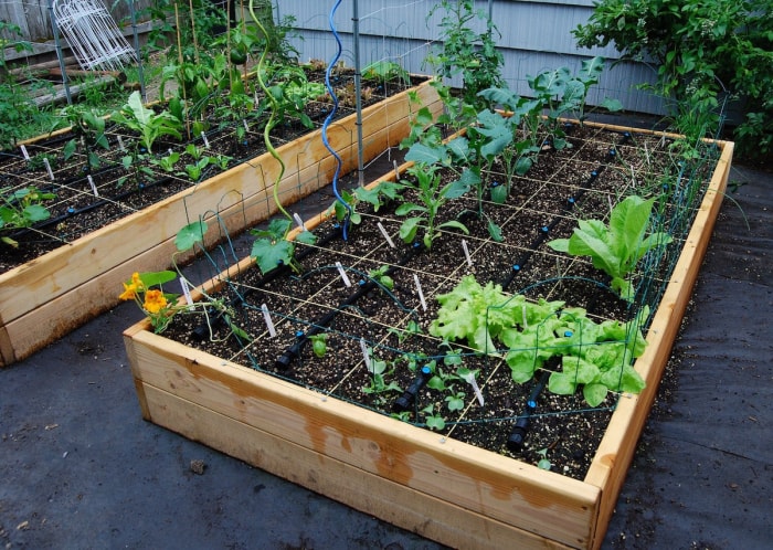 plans de jardin surélevé