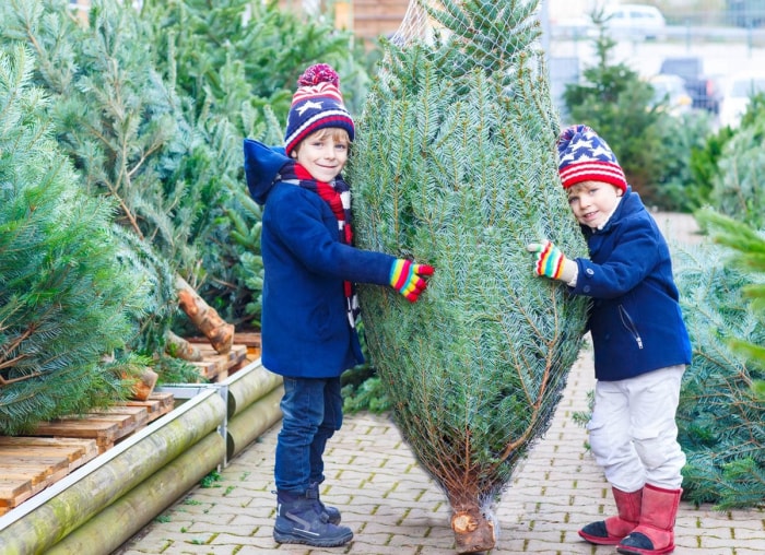 8 choses que vous ne saviez même pas sur les arbres de Noël