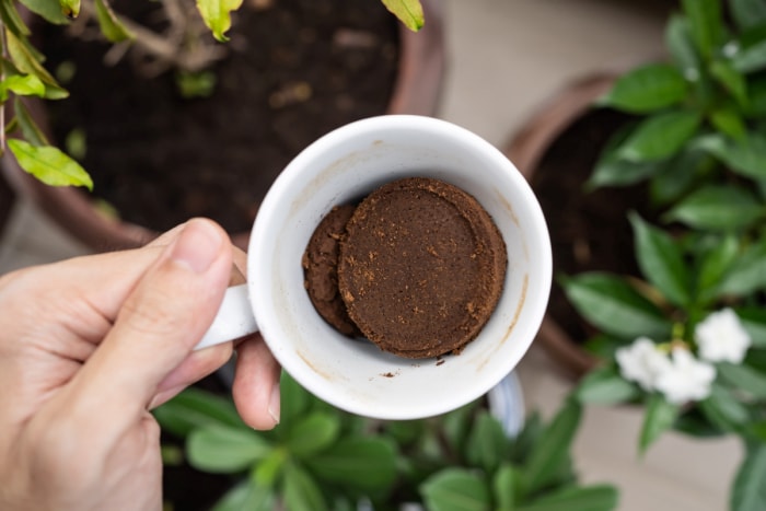 Tasse avec du vieux marc de café