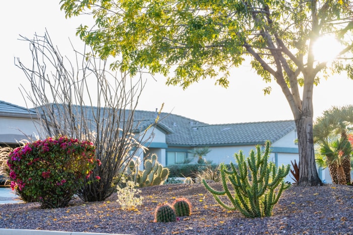 Une maison a un jardin xériscape avec des cactus.