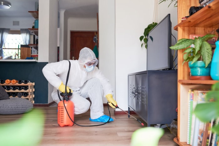 Un expert en lutte antiparasitaire en costume blanc utilise un outil pour pulvériser une solution sous une console de télévision. 