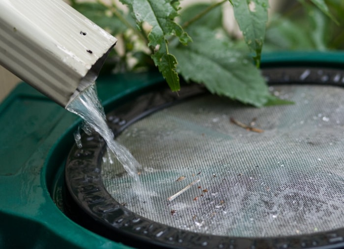 10 façons de laisser la nature faire le travail de jardinage à votre place