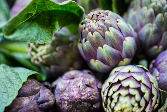 Trois artichauts violets poussant sur une plante.