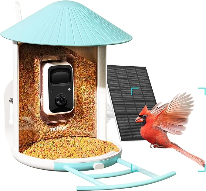 Caméra pour mangeoire à oiseaux Birdify avec panneau solaire