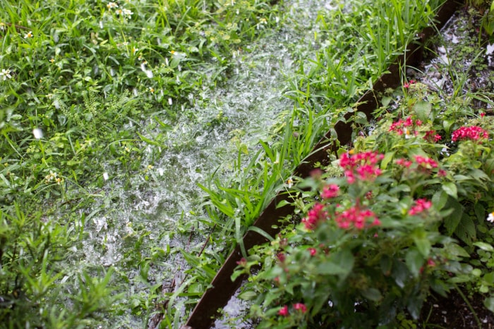 iStock-1240158284 14 astuces pour protéger votre jardin des intempéries La pluie inonde la pelouse de devant